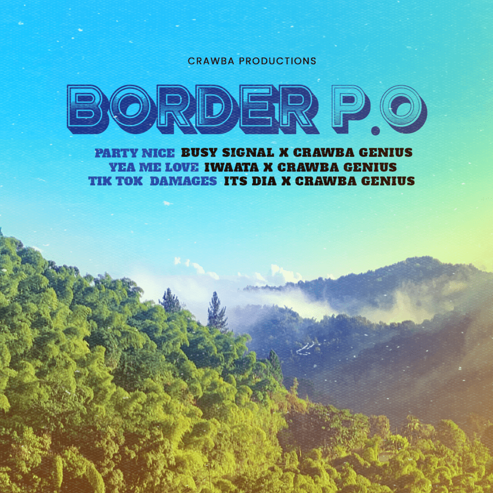 Cover image for Border P.O