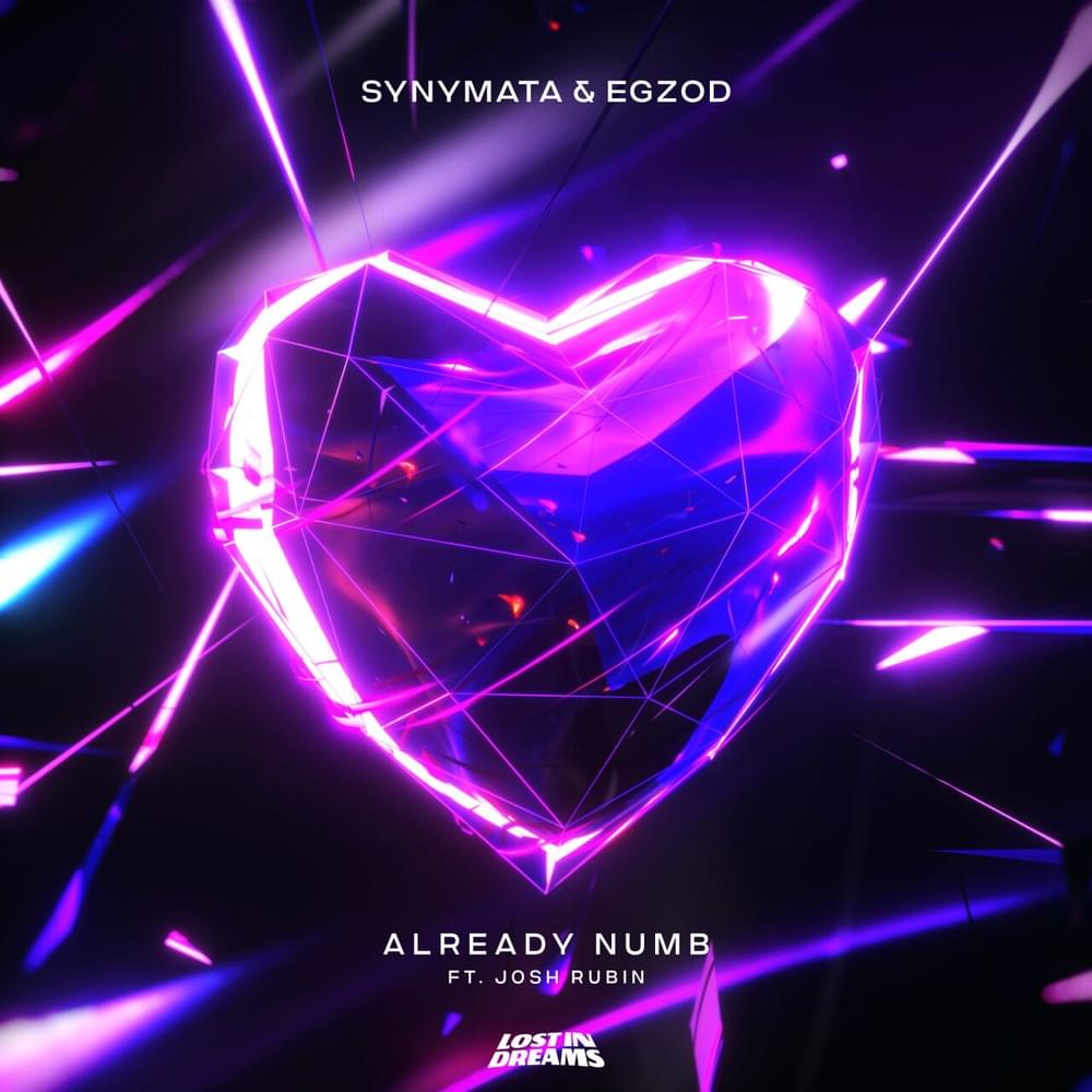 Already Numb by Synymata
