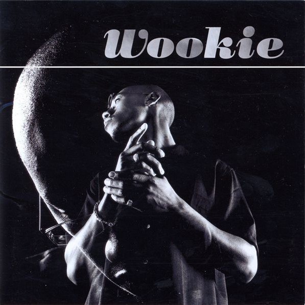 What’s Going On by Wookie