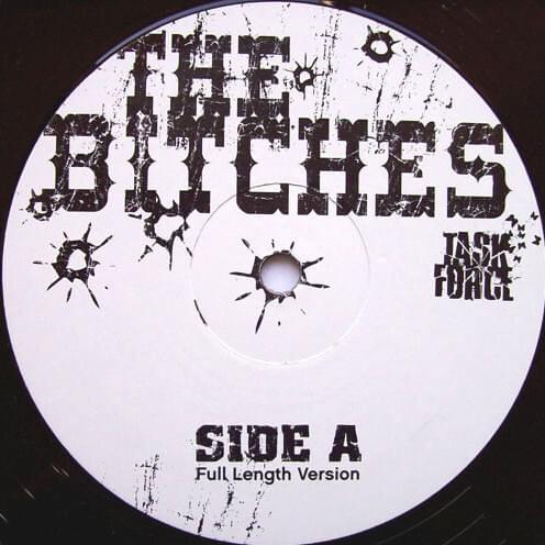 Cover image for The Bitches