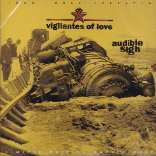 Could Be A Lot Worse by Vigilantes of Love