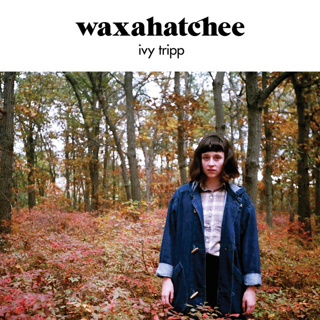 Cover image for Ivy Tripp
