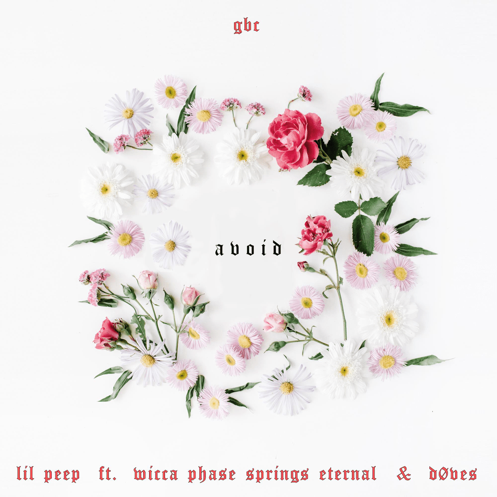 Album cover art for "Avoid" by Lil Peep & Wicca Phase Springs Eternal & døves