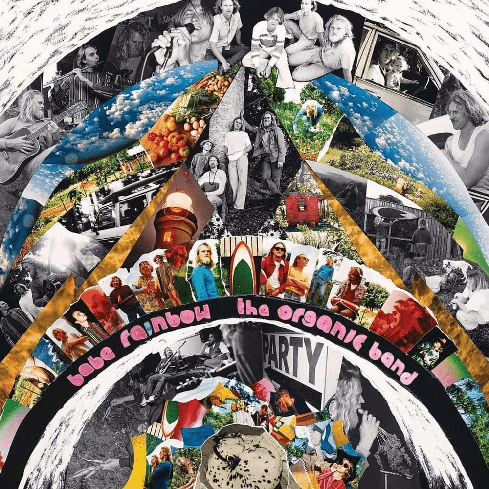 Cover image for The Organic Album