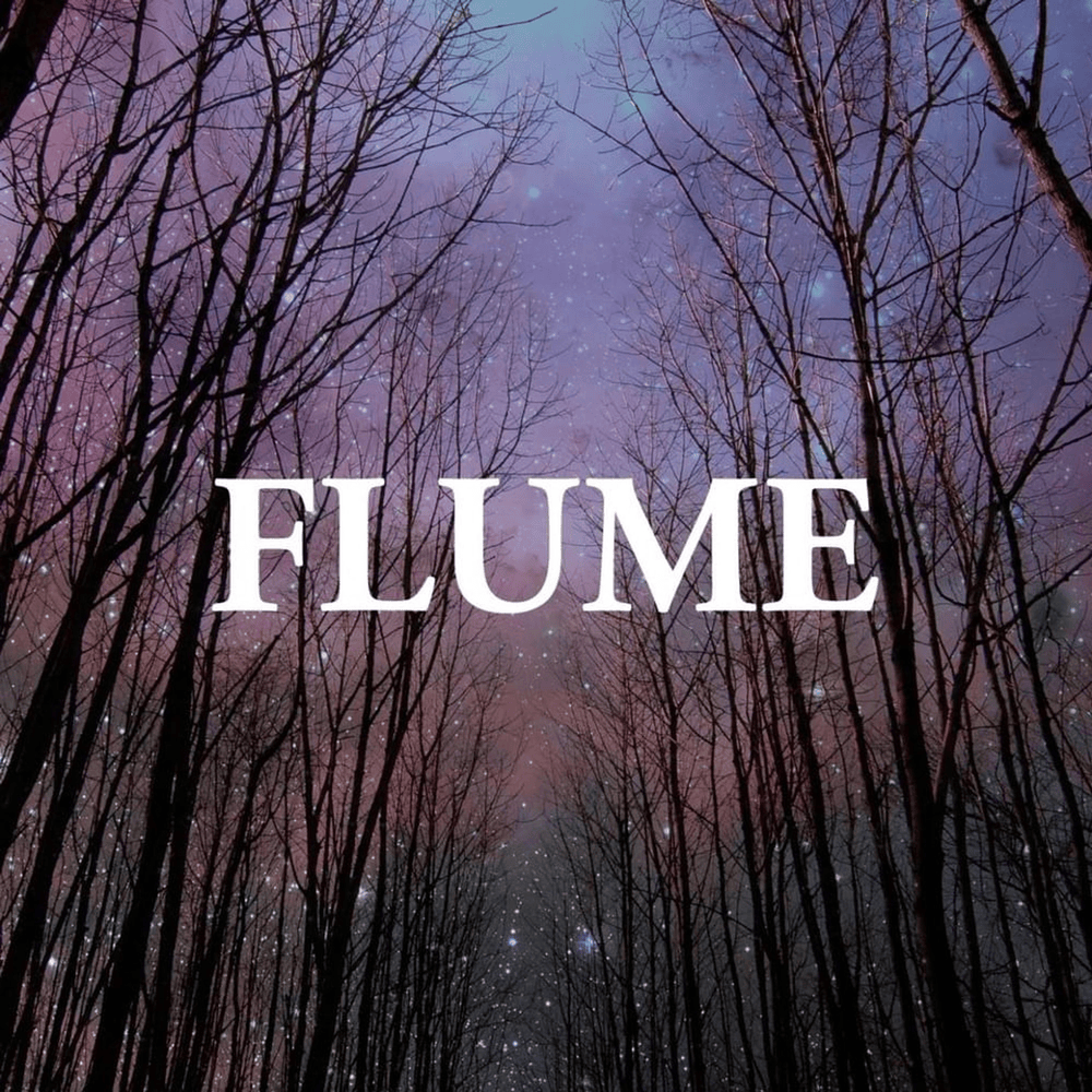 Album cover art for "Possum" by Flume