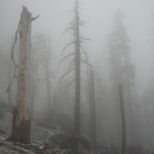 Cover image for Mount Eerie Pts. 6 & 7 [EP]