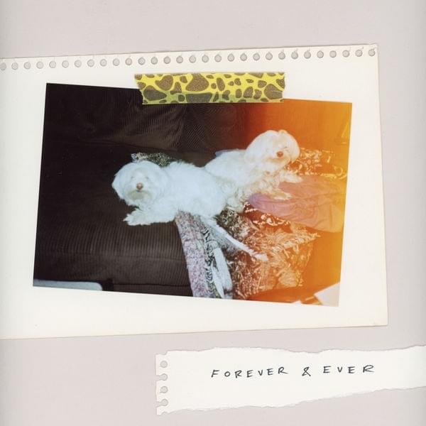 Cover image for Forever & Ever