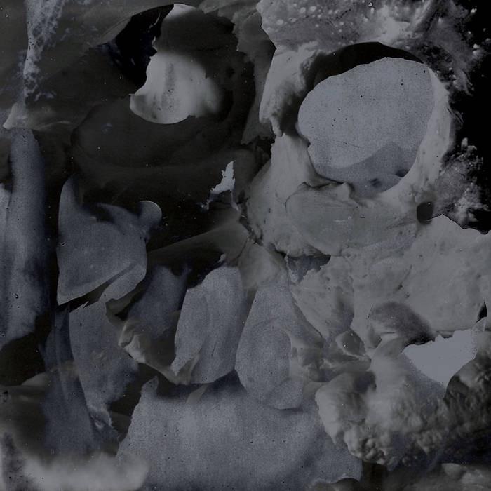 Cover image for Aequorin