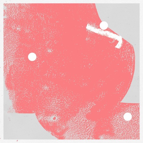 Walrus by D.D Dumbo