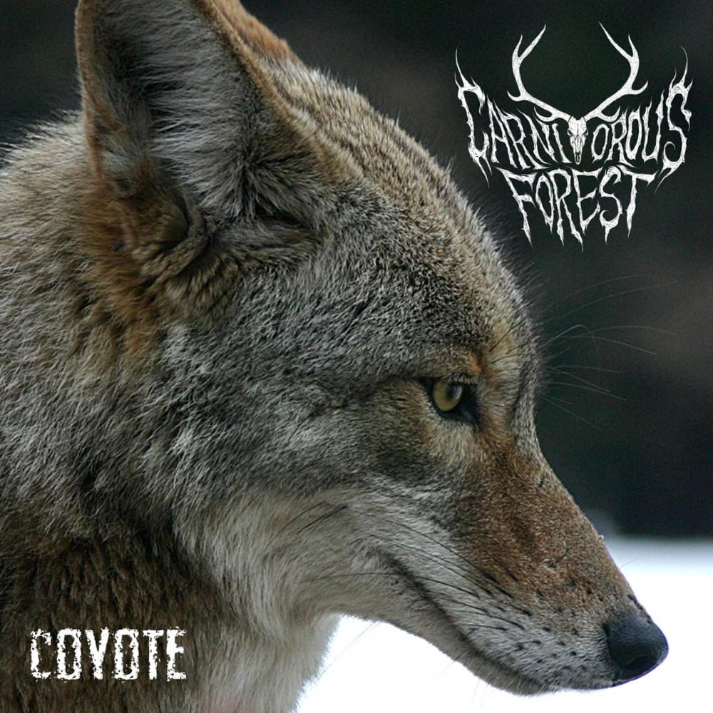 Cover image for Coyote