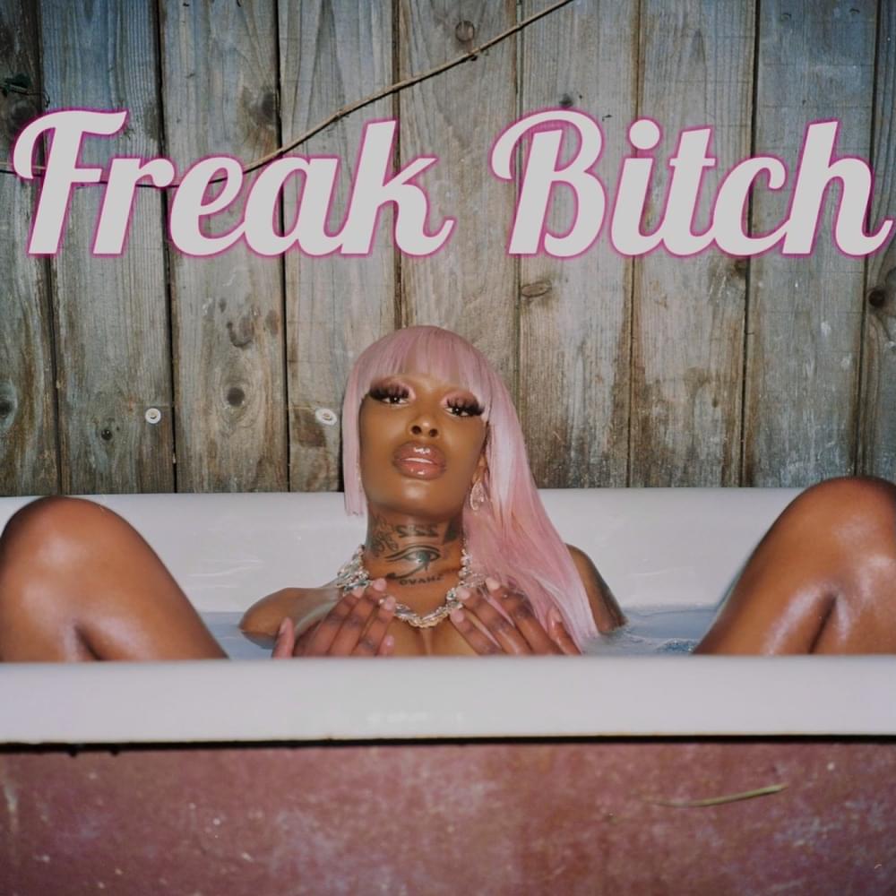 Album cover art for "Freak Bitch" by Bbyafricka