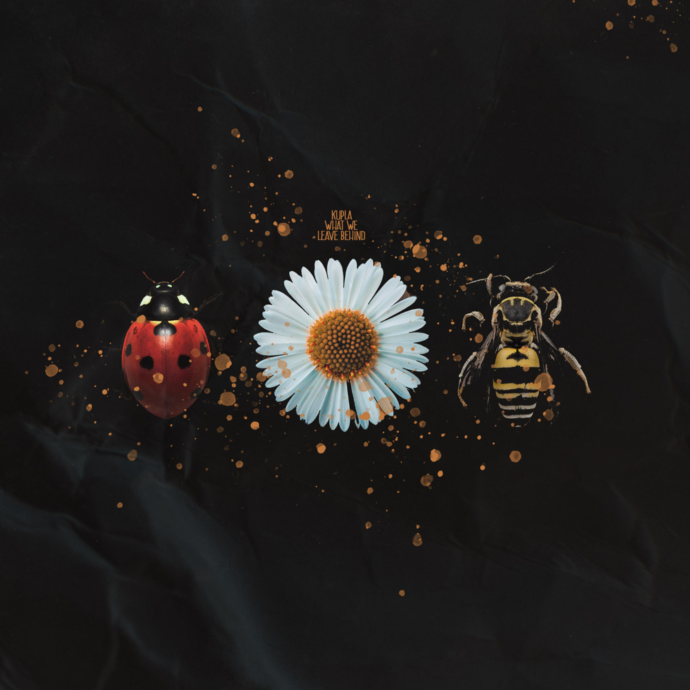 Album cover art for "What We Leave Behind" by Kupla