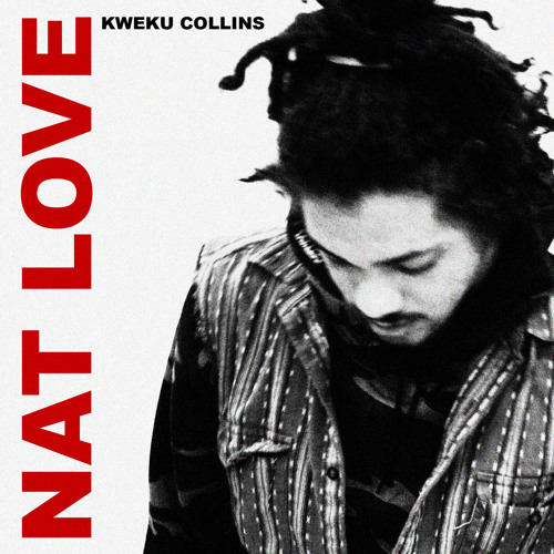 The Outsiders by Kweku Collins