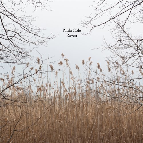 Strong Beautiful Woman by Paula Cole