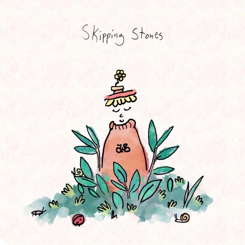 Cover image for Skipping Stones