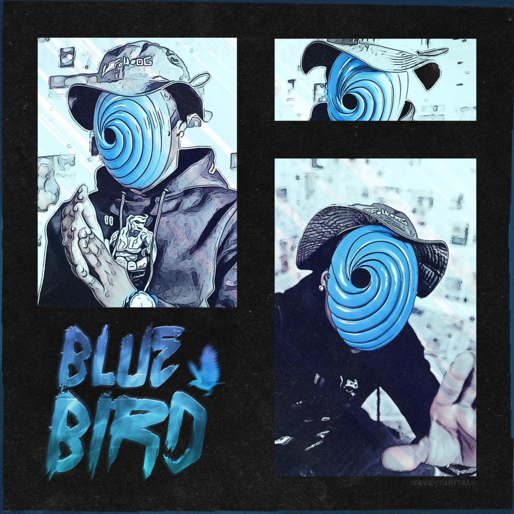 Bluebird by Offica