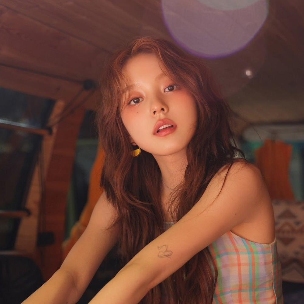 Cover image for Rothy (로시)