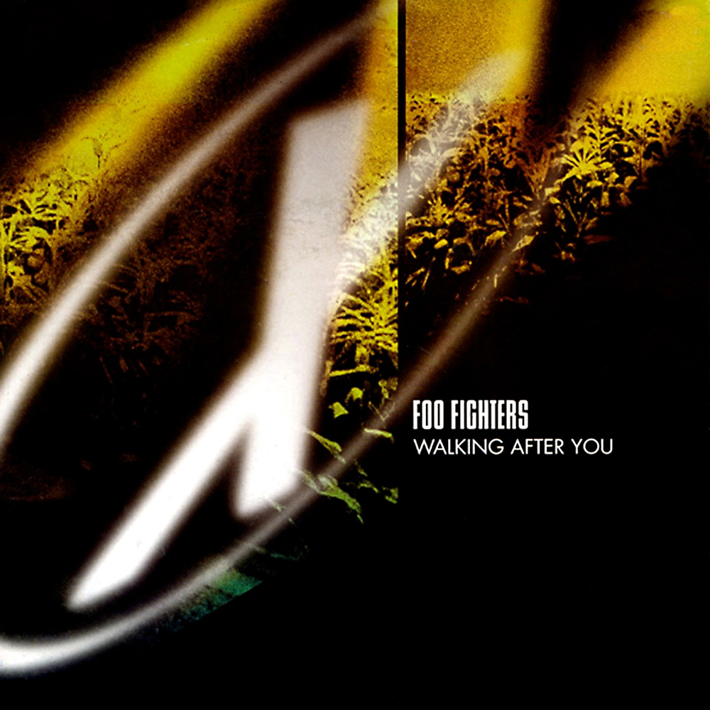 Album cover art for "Walking after You" by Foo Fighters