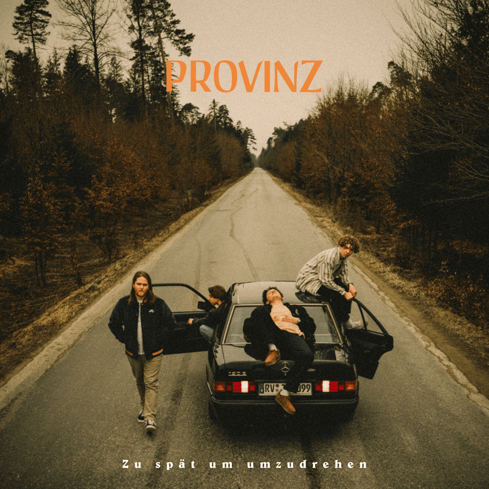 Album cover art for "Ich will dich wiedersehen" by Provinz