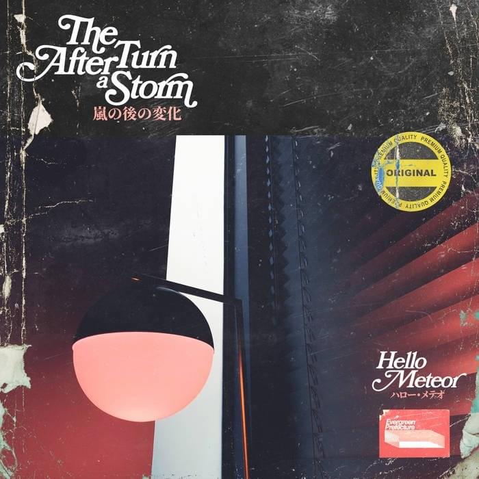 Cover image for The Turn After a Storm