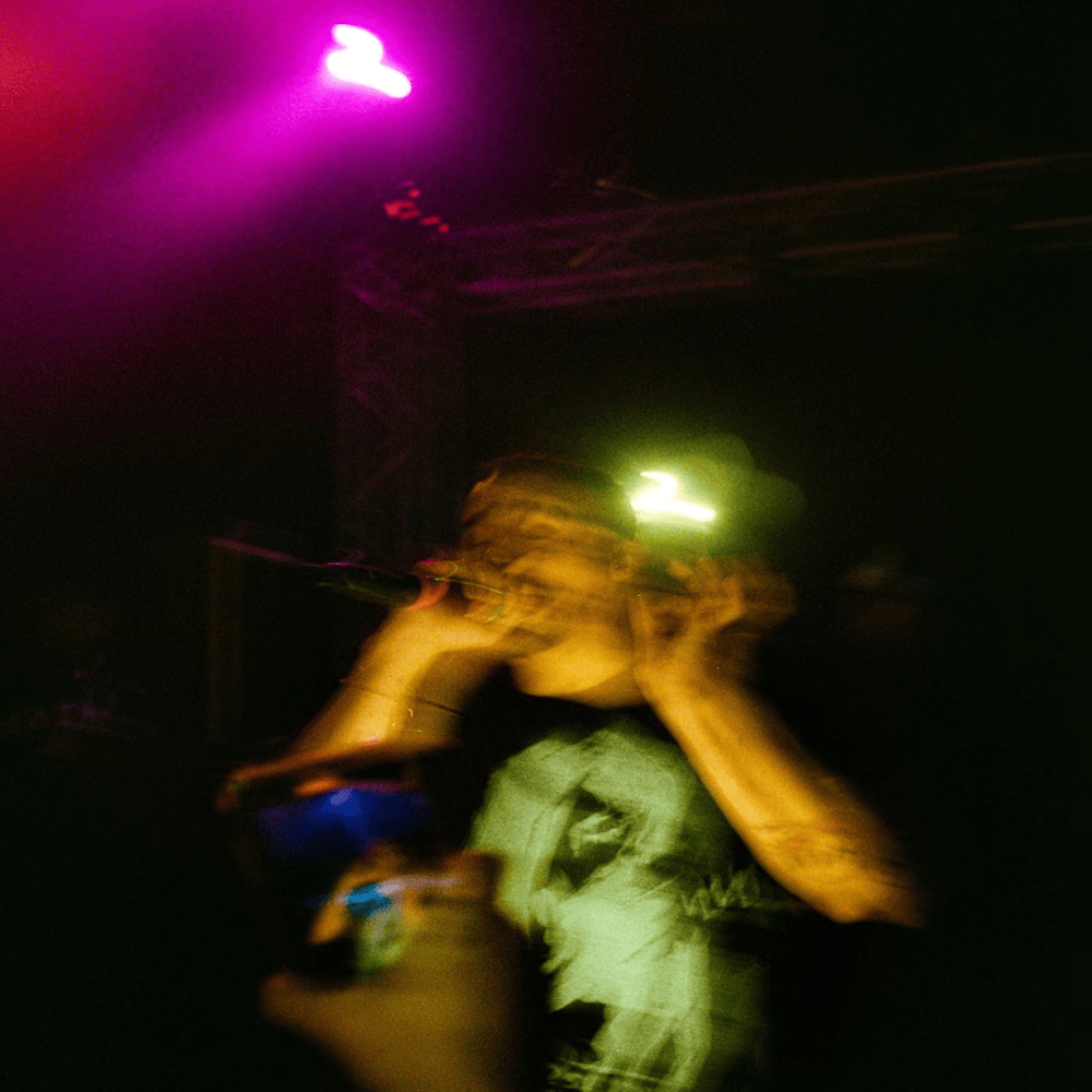 Album cover art for "Everybody Hates Weef" by wifisfuneral