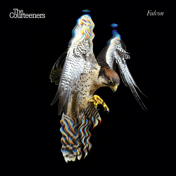 Album cover art for "Sycophant" by Courteeners
