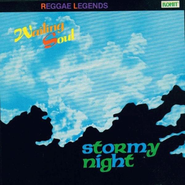 Cover image for Stormy Night