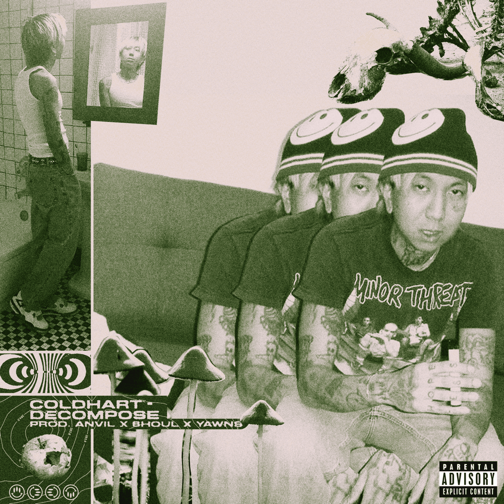 Album cover art for "Decompose" by Cold Hart