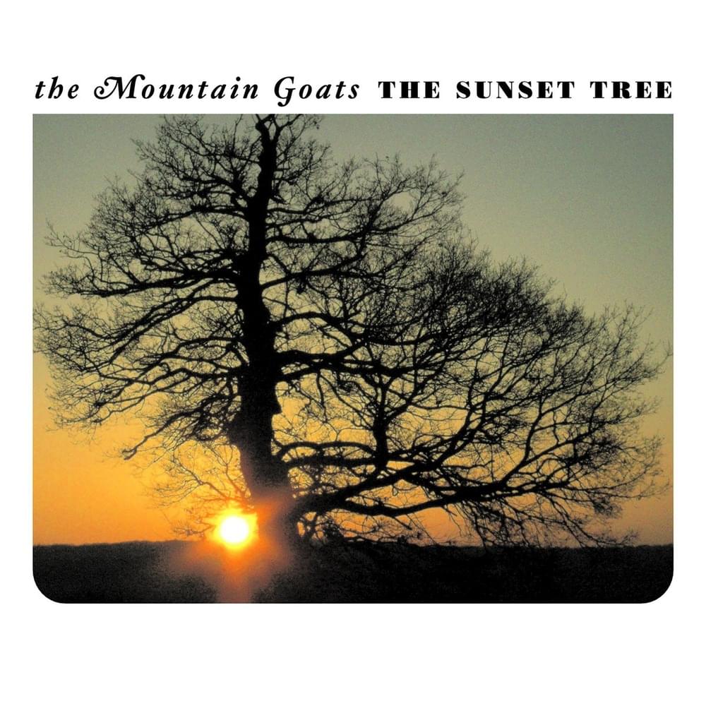 This Year by The Mountain Goats