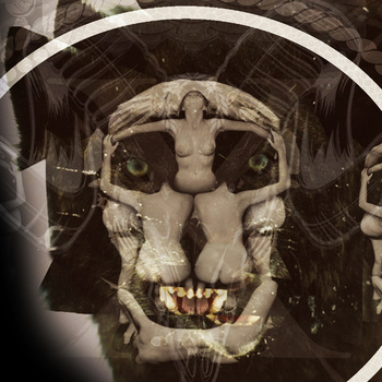 Cover image for Presents Skull and Bones
