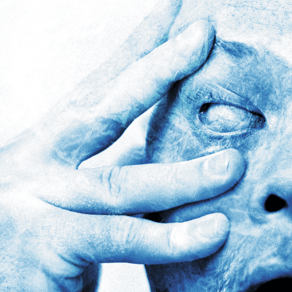 Cover image for In Absentia (Deluxe - Remastered)
