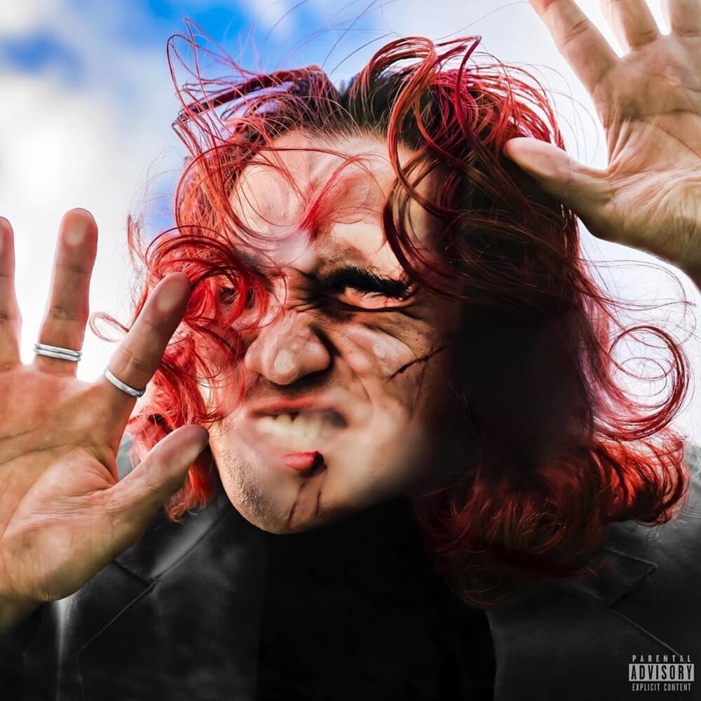 Cover image for Face Plants