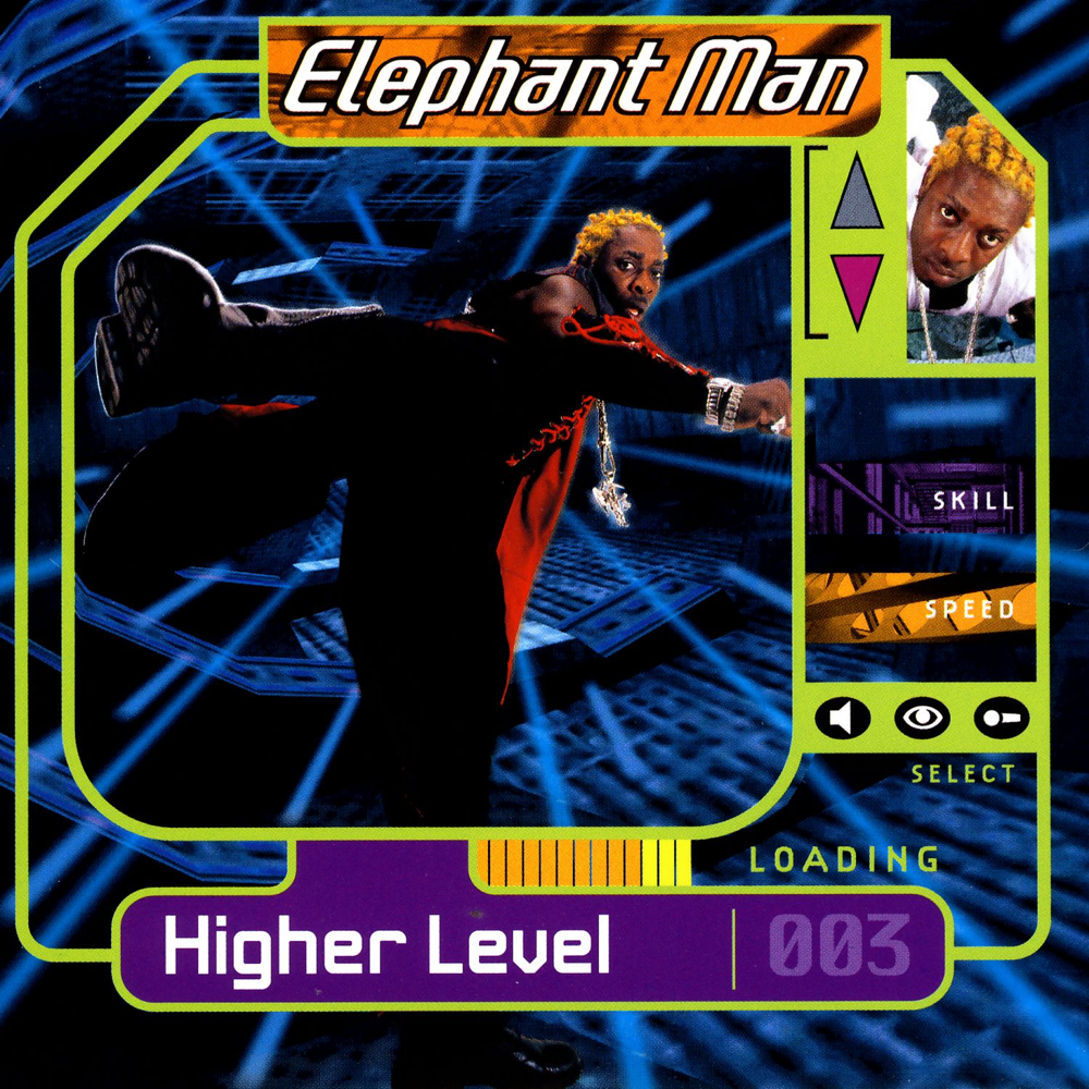 Cover image for Higher Level