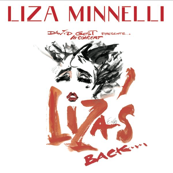 Money, Money by Liza Minnelli
