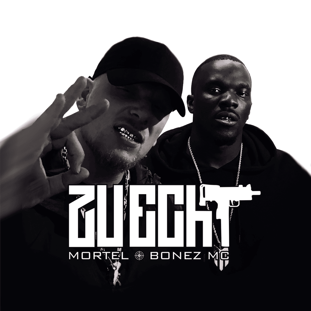 Zu echt by Mortel