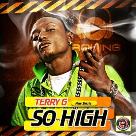 Album cover art for "So High" by Terry G