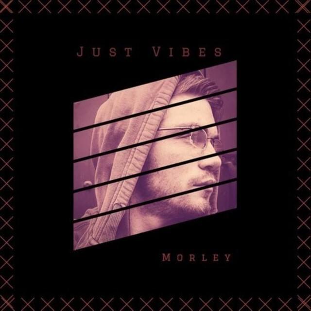 Cover image for Just Vibes