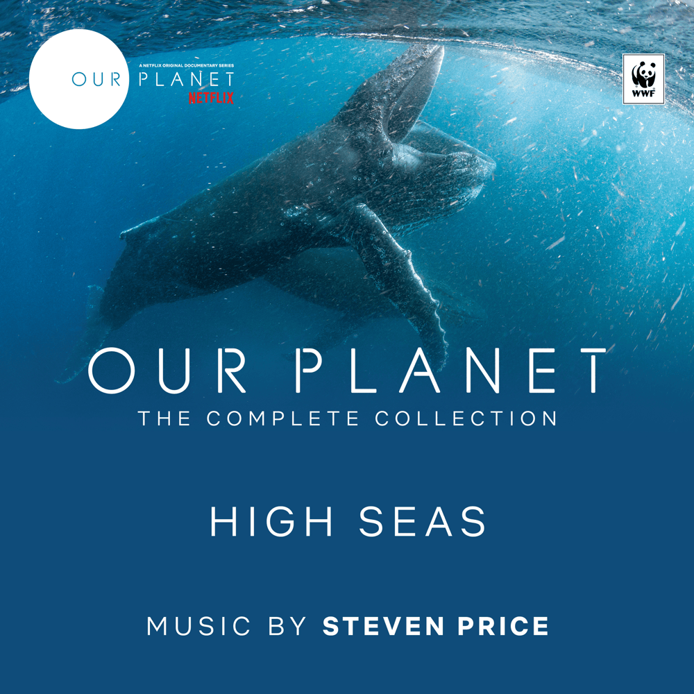 Cover image for High Seas (Episode 6 / Soundtrack From The Netflix Original Series ”Our Planet”)
