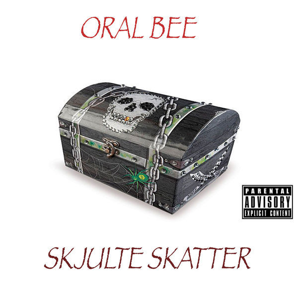 Cover image for Skjulte Skatter