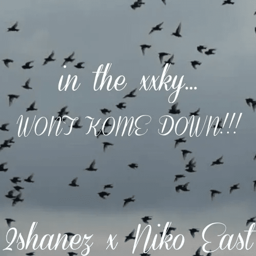 Cover image for IN THE XXKY... WONT KOME DOWN!