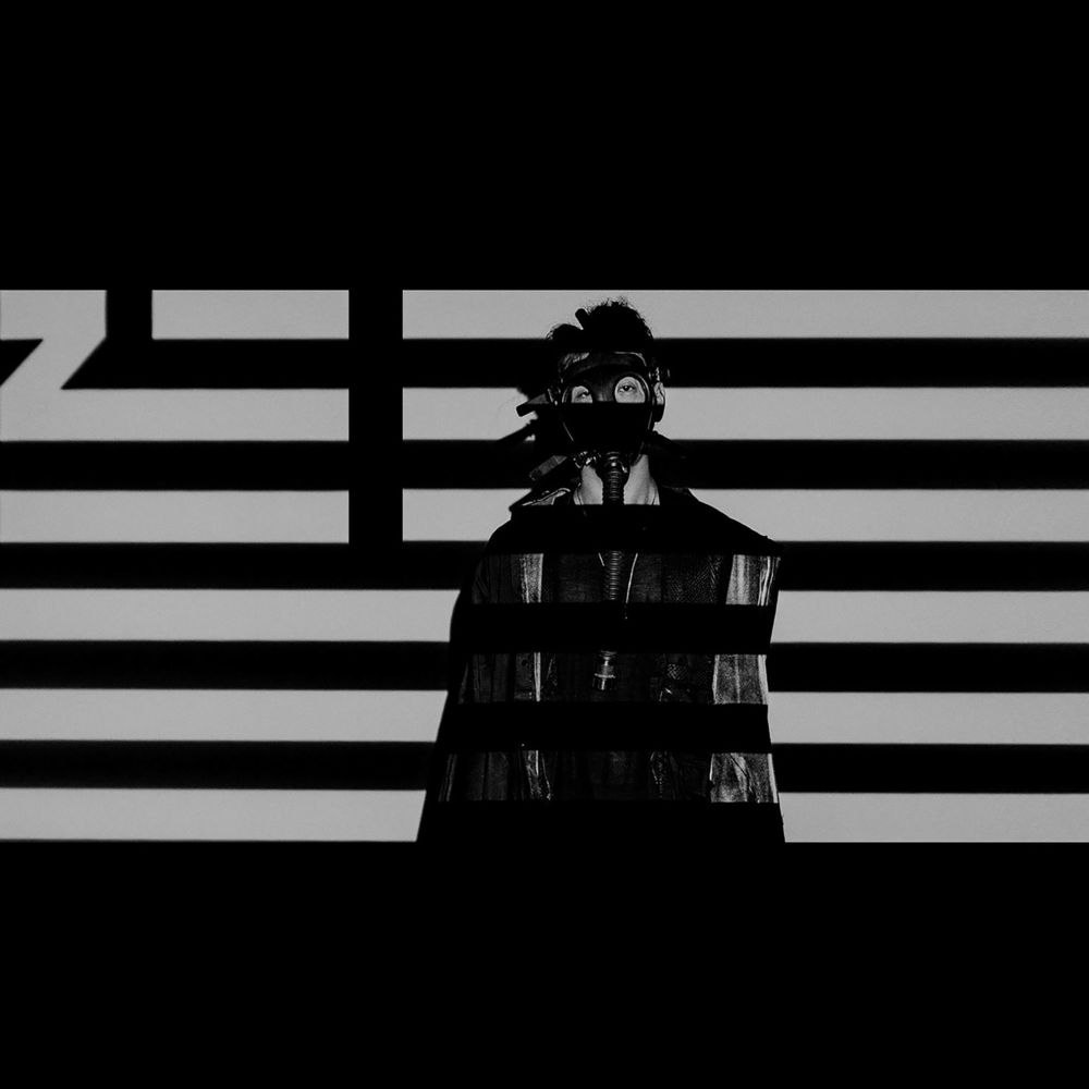 Album cover art for "Came for the Low" by ZHU