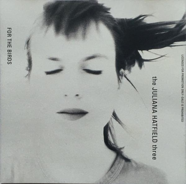 Cover image for For The Birds - Single