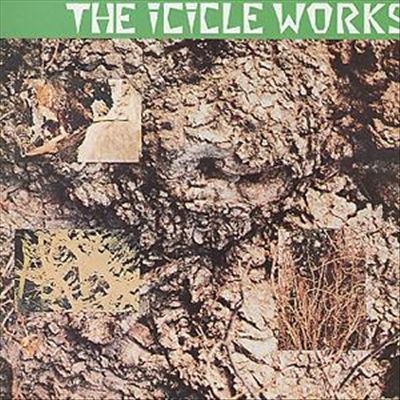 A Factory In The Desert by The Icicle Works