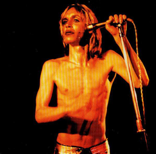 Album cover art for "Search and Destroy" by The Stooges