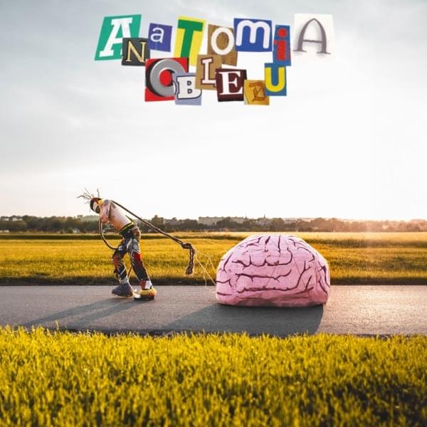 Album cover art for "Anatomia Obłędu" by Feno
