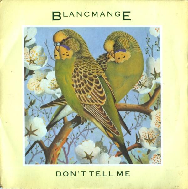 Album cover art for "Don’t Tell Me" by NOW That’s What I Call Music!