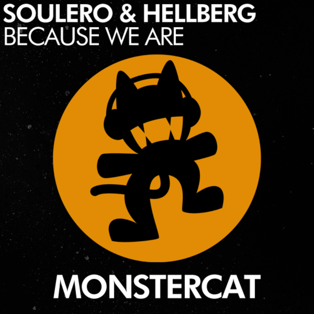 Album cover art for "Because We Are" by Soulero