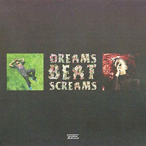 Album cover art for "Dreams Beat Screams" by Bishop Nehru