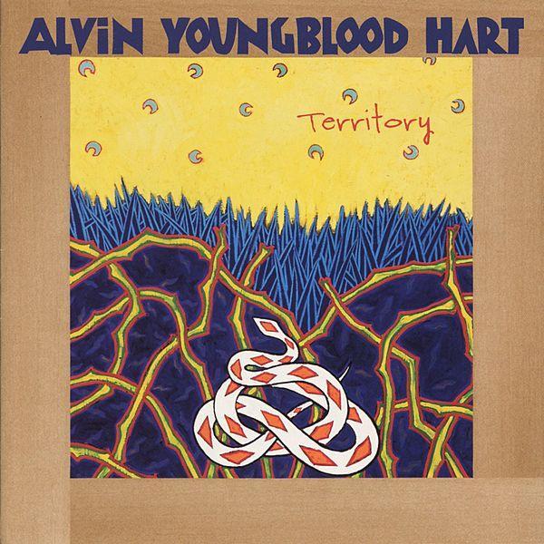 Illinois Blues by Alvin Youngblood Hart