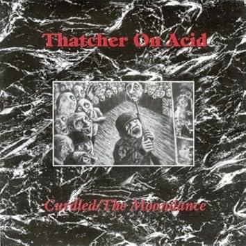 Fly by Thatcher on Acid